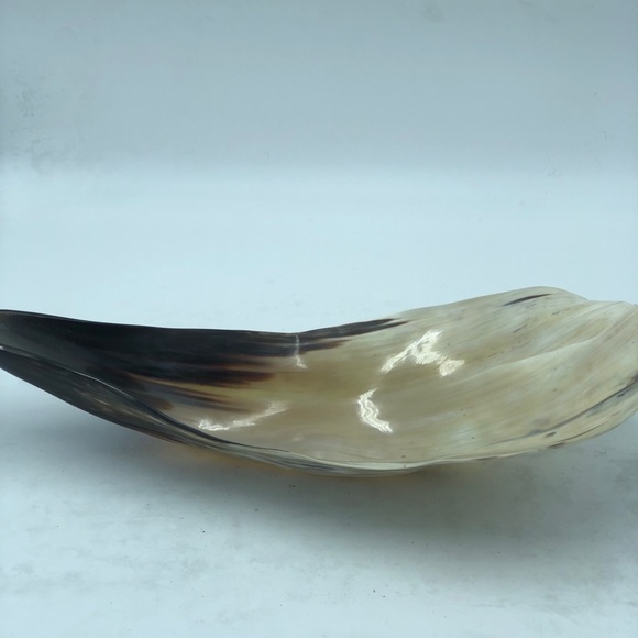 Large Horn Decorative Piece - Picture 7 of 8